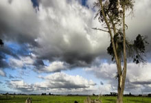 游泳——全国春季锦标赛:孙杨获男子400米自由泳亚军.